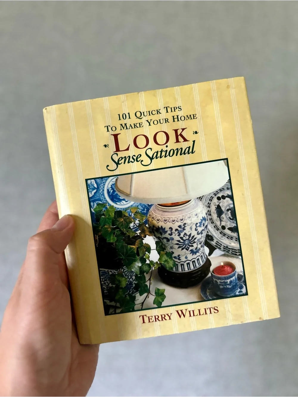 Vintage 90s Terry Willits Home SenseSational Mini Book Bundle Set of 3 Decor
